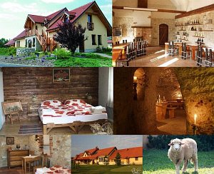 Tokajský dom Ostrožovič [Zväčšiť - nové okno]