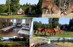 Farma Hory - penzión a reštaurácia [Zväčšiť - nové okno]