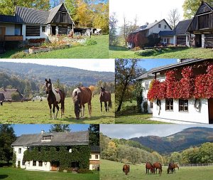 Ranch M [Zväčšiť - nové okno]