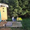Maringotka Borovicová šiška, Vyškovec - Vlčí [Zväčšiť - nové okno]
