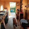Maringotka Borovicová šiška, Vyškovec - Vlčí [Zväčšiť - nové okno]